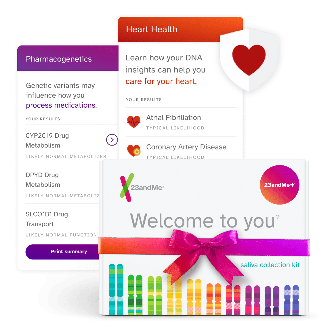 23andMe plus saliva collection Kit with example reports Pharmacogenetics and Heart Health. Pharmacogenetics report displays genetic variants that may influence how you process medications. Example results include: CYP2C19 Drug Metabolism likely normal metabolizer, DPYD Drug Metabolism likely normal metabolizer, and SLCO1B1 Drug Transport likely normal function. Heart Health report displays how your DNA insights can help you care for your heart. Example results include: Atrial Fibrillation typical likelihood, Coronary Artery Disease typical likelihood.